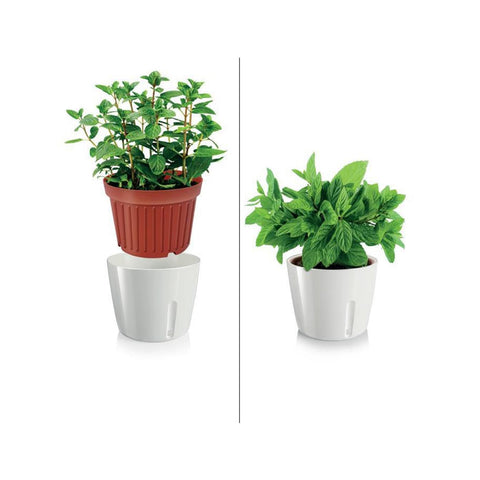 immagine-2-tescoma-vaso-per-piante-tondo-metallo-bianco-135x11cm-ean-8595028400915