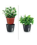 immagine-2-tescoma-vaso-per-piante-tondo-metallo-nero-135x11cm-ean-8595028400939