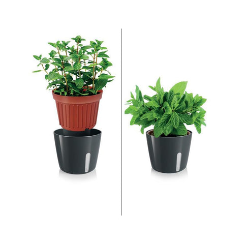 immagine-2-tescoma-vaso-per-piante-tondo-metallo-nero-135x11cm-ean-8595028400939