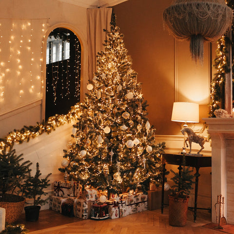 immagine-2-wintem-catena-luminosa-per-esterno-500-luci-bianca-25m-ean-8032089568005