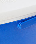 immagine-3-campingaz-frigo-termico-ghiacciaia-4l-ean-3138522114923