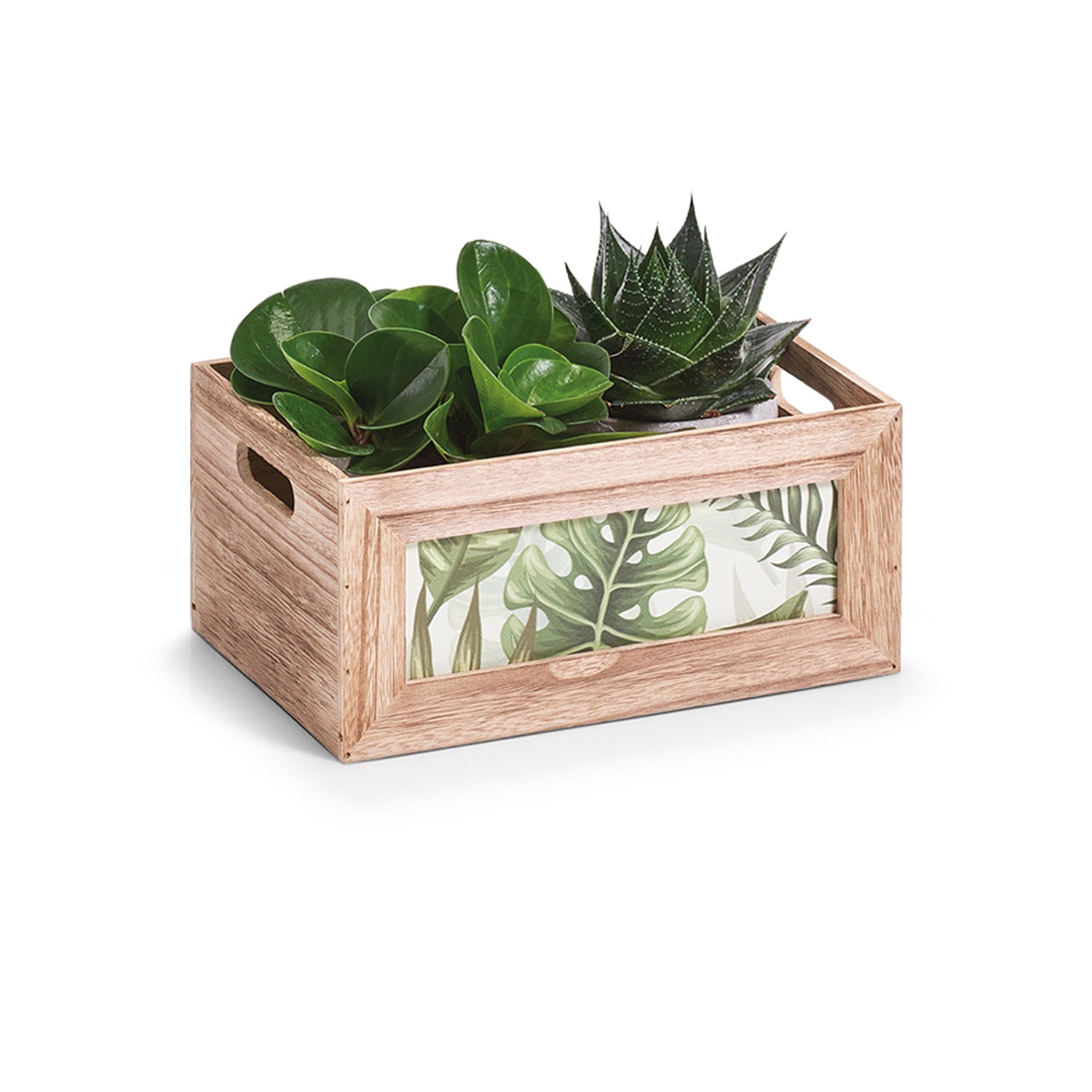 immagine-3-zeller-scatola-jungle-organizer-in-legno-31x21x14cm-ean-4003368151755