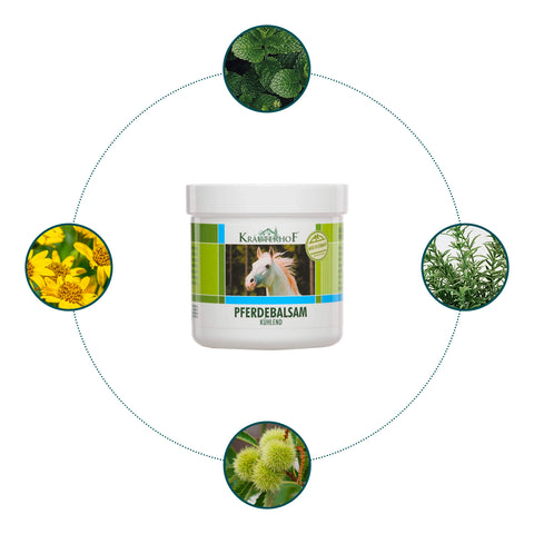 immagine-4-krauterhof-gel-rinfrescante-revitalizzante-250ml-ean-4075700044506