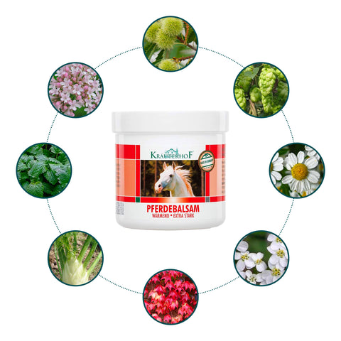 immagine-4-krauterhof-gel-scaldante-muscolare-250ml-ean-4075700044483