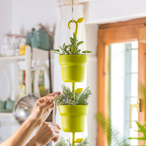 immagine-4-vigar-tris-contenitori-portapiante-rotondo-verde-ean-8411782008818