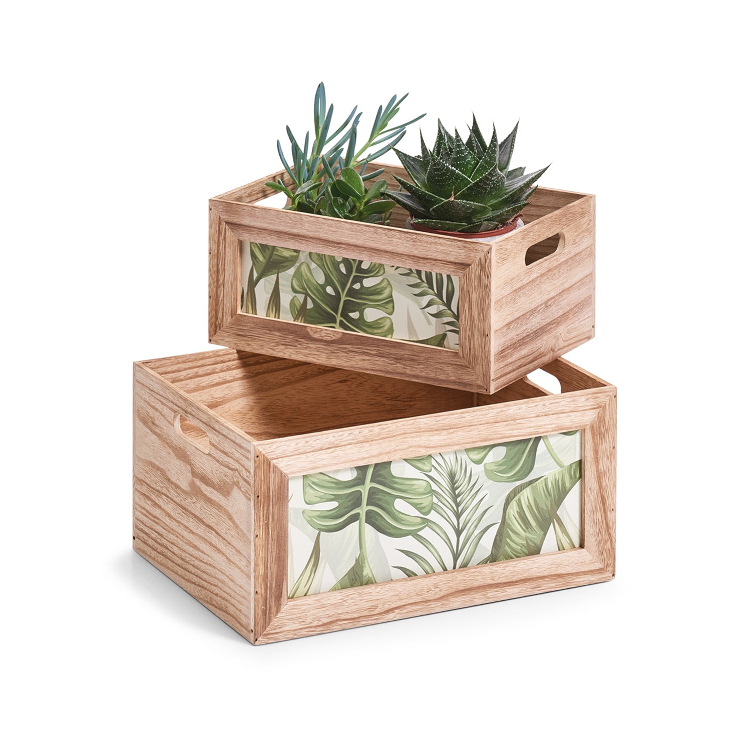 immagine-4-zeller-scatola-jungle-organizer-in-legno-31x21x14cm-ean-4003368151755