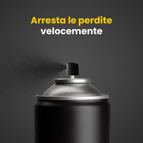 immagine-5-151-spray-sigillante-per-perdite-e-crepe-400ml-ean-5053249222875