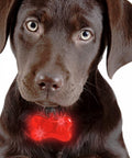 immagine-5-visto-in-tv-targhetta-con-led-per-collare-per-cani-ean-4029811310548