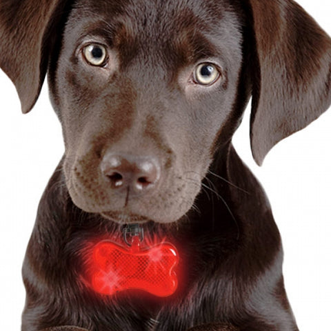 immagine-5-visto-in-tv-targhetta-con-led-per-collare-per-cani-ean-4029811310548
