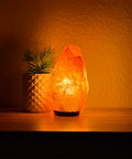 immagine-5-voganto-lampada-di-sale-himalaya-purifica-ambiente-con-lampada-15w-23-kg-ean-8033738181835