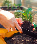 immagine-6-garden-friend-cesto-in-vimini-con-attrezzi-giardinaggio-ean-8023755019563