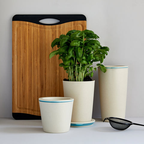 immagine-8-wenko-barattolo-per-alimenti-parla-in-bambu-090l-ean-4008838285190